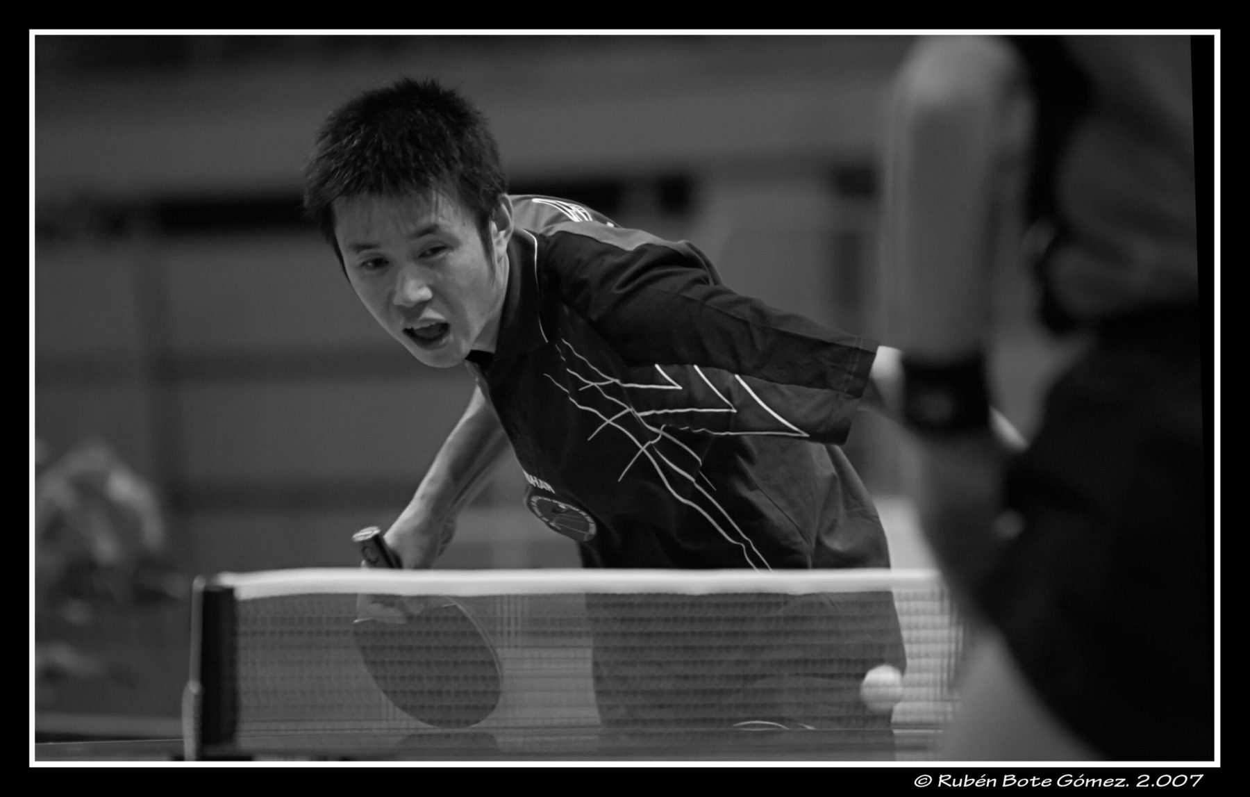 MG_5512-scaled