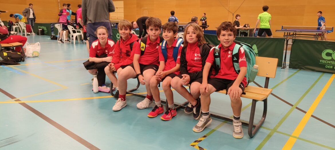 VIII TORNEO DE PROMOCION, PEDREZUELA