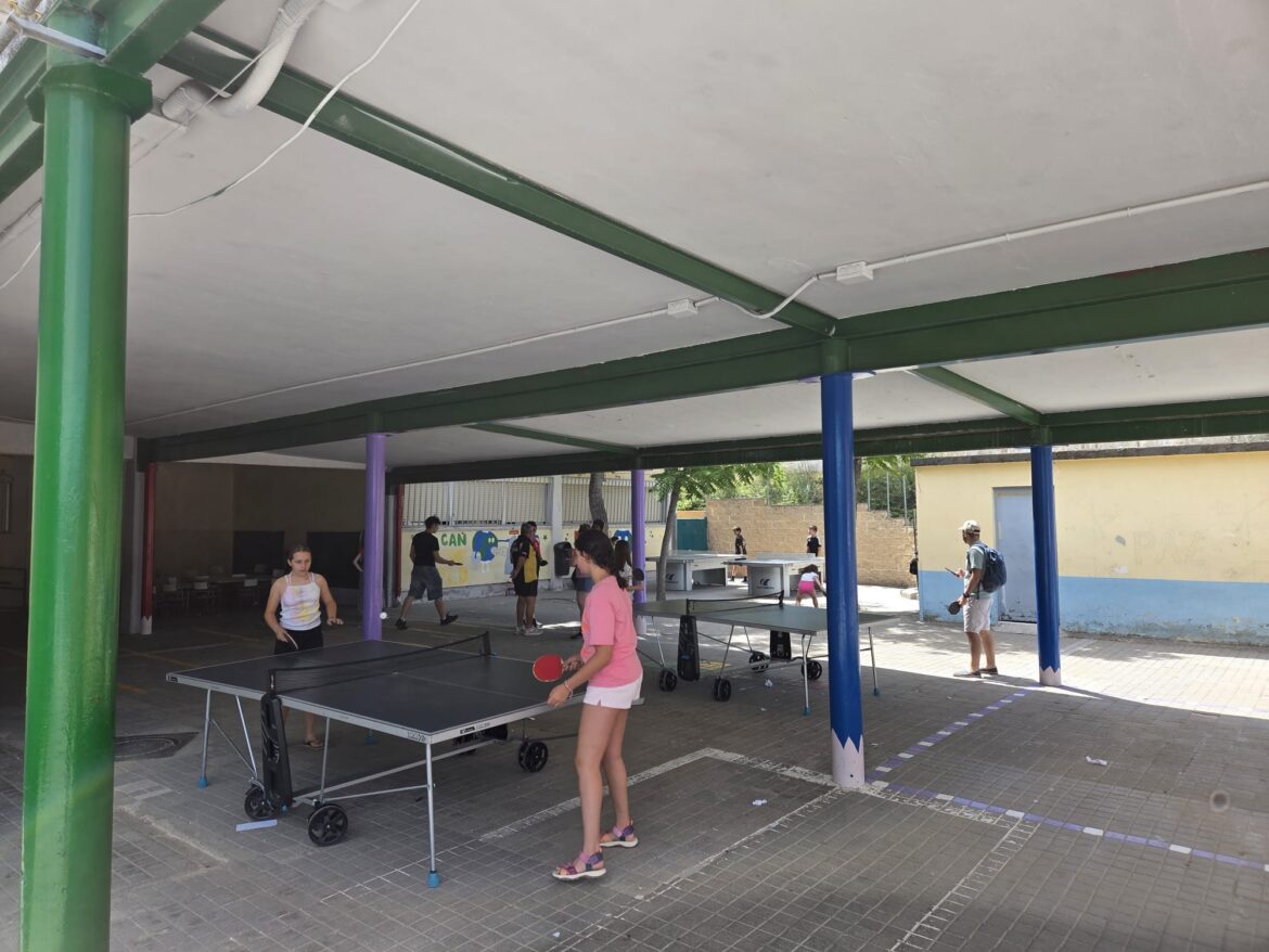 Fiesta Fin de Curso CEIP Antonio Machado